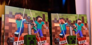 Minecraft - Georgia Festas