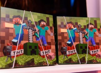 Minecraft - Georgia Festas