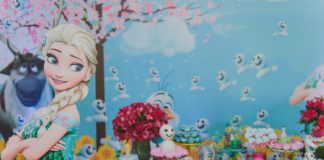 Frozen Fever - Georgia Festas