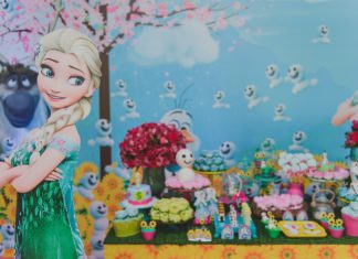 Frozen Fever - Georgia Festas